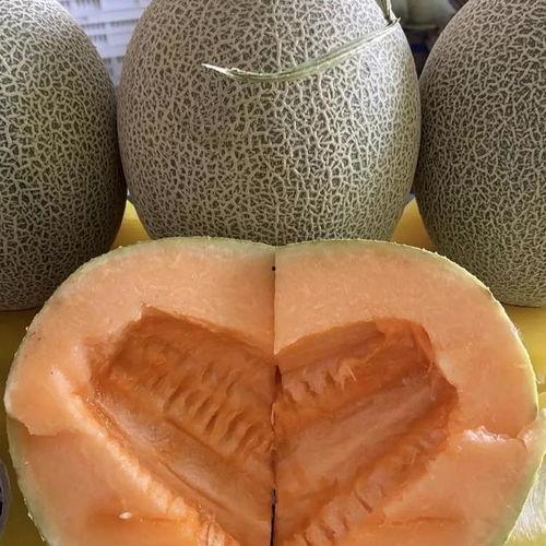 昆山哈密瓜多少钱一斤今日价格,行情一览，一斤多少钱？