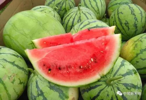 吃瓜网今日吃瓜热门吃瓜反差,今日热门吃瓜反差，揭秘娱乐圈背后的真实故事