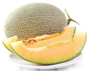 哈密瓜今日行情,丰收季里的价格波动解析