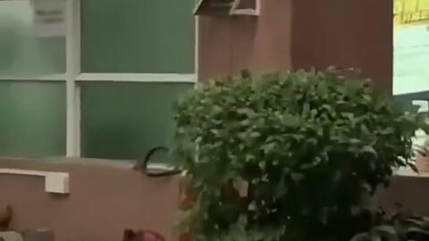 热门吃瓜今日吃瓜新闻,盘点娱乐圈最新猛料，揭秘幕后真相