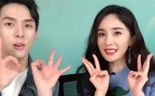 明星网红割韭菜的例子,揭秘明星网红背后的商业陷阱