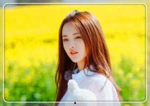 明星网红用的拍照手机,揭秘拍照手机新宠儿