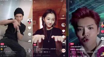 明星网红清唱视频大全集,一网打尽视听盛宴