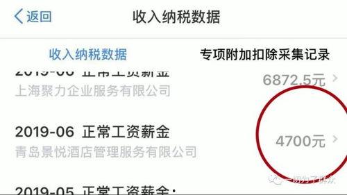 明星网红怎么申请退税的,揭秘明星网红退税申请全流程