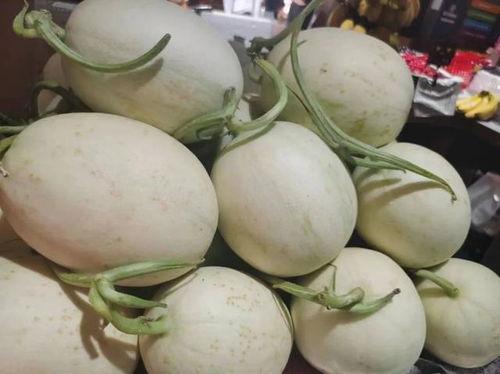 今日玉菇瓜零售价格,新鲜上市，品质保证