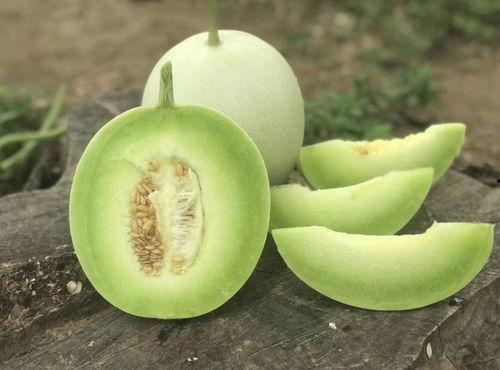 今日玉菇瓜零售价格,新鲜上市，品质保证