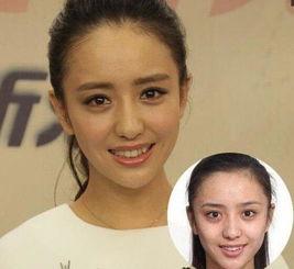 有哪些明星网红的片子,揭秘明星网红们的影视作品集锦