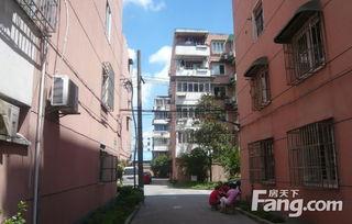 明星网红小区租房改造,网红明星效应下的明星网红小区租房改造风潮