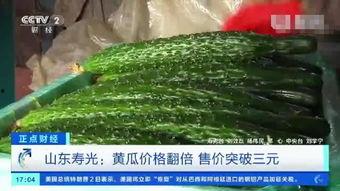 山东寿光今日瓜价