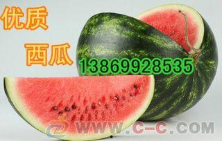 山东寿光今日瓜价