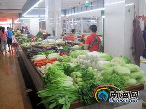 河南今日瓜菜行情价格,价格波动，市场供需分析