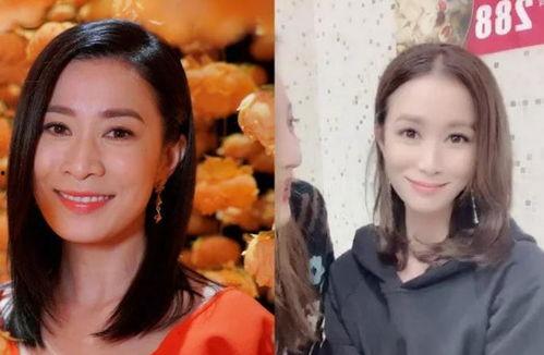 梦到和明星网红成为朋友,我与明星网红的友谊之旅