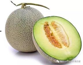 海洋网纹瓜荣成今日价格,今日荣成海洋网纹瓜价格行情解析