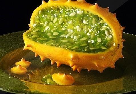 角瓜价格今日行情莱阳,价格波动解析”