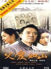 父爱如山电视剧,温情演绎父子情深