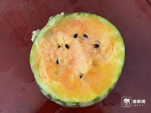 丽水今日吃瓜事件真相是真的吗