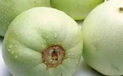 丽水今日吃瓜事件真相是真的吗