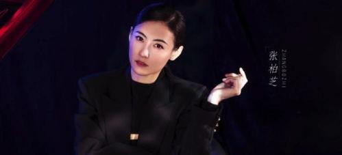 火花的明星网红有哪些,揭秘与明星网红的璀璨互动瞬间