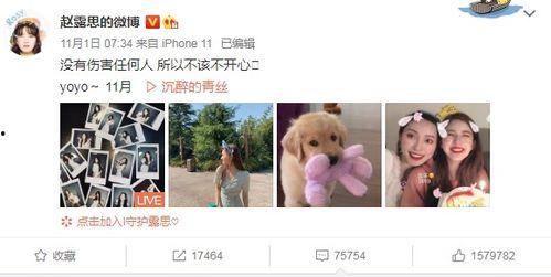 今日文案吃瓜少女啥意思