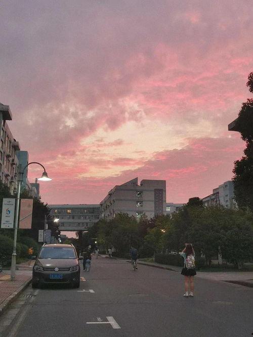 今日份热瓜江苏某高校,揭秘校园风云事件背后的真相