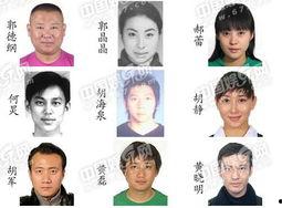 明星网红的身份排名图片,揭秘网络红人势力版图