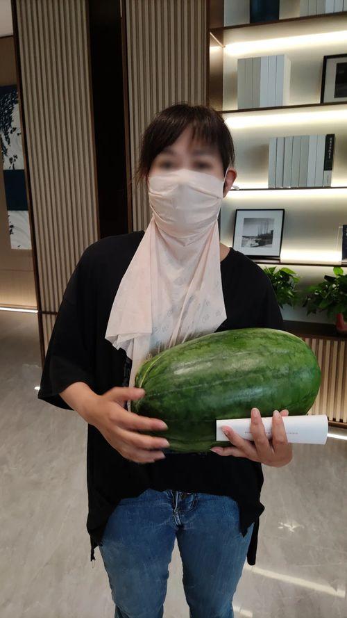 邹城今日瓜价,今日瓜价一览”