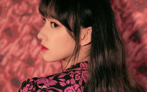 郑州有哪些明星网红的,星光熠熠的网红之城