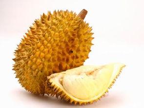 今日吊瓜多少钱一斤啊,一斤吊瓜多少钱？