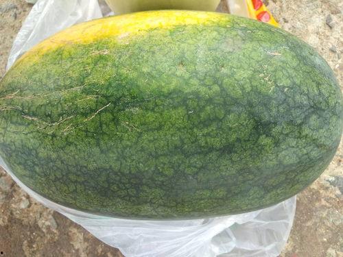 今日吊瓜多少钱一斤啊,一斤吊瓜多少钱？