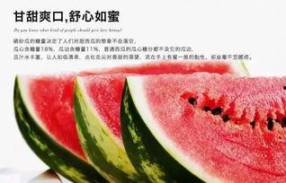 宁夏硒砂瓜今日批发价格,品质佳价优引关注”