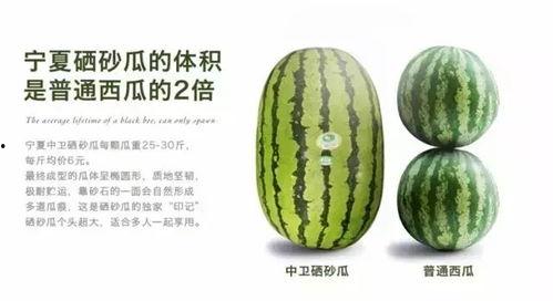 宁夏硒砂瓜今日批发价格,品质佳价优引关注”