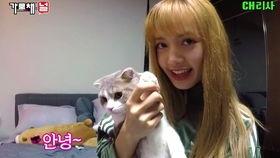 今日吃瓜lisa,LISA的时尚魅力与舞台风采