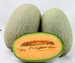 2024伊宁哈密瓜今日价格行情,今日市场动态一览”