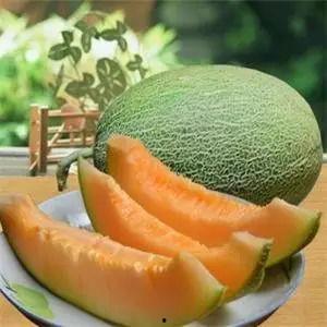 2024伊宁哈密瓜今日价格行情,今日市场动态一览”