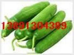 今日求购鸡瓜戚,鸡瓜戚，探寻美食新风尚