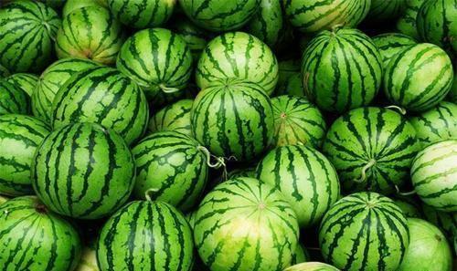 今日吃瓜最新价格,吃瓜群众惊呼不已！