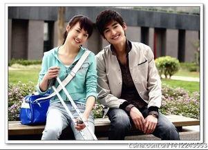 流星雨电视剧,青春校园的浪漫传奇