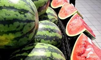 大钱今日份瓜来了,揭秘娱乐圈最新热点事件