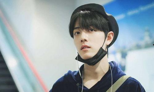 碰瓷明星网红合集大全,明星网红合集大盘点