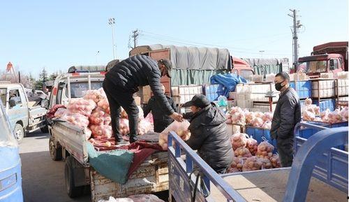 临沂小瓜批发市场今日价格表,临沂小瓜批发市场今日价格行情一览