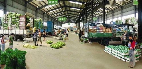 临沂小瓜批发市场今日价格表,临沂小瓜批发市场今日价格行情一览