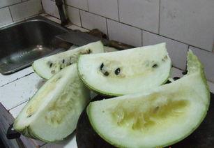 温州今日鲜瓜价,夏季时令美味，价格行情一览