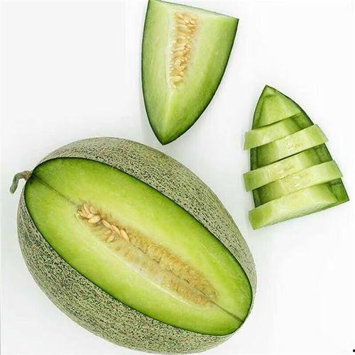 温州今日鲜瓜价,夏季时令美味，价格行情一览