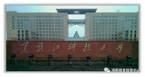 今日黑龙江科技大学的瓜,揭秘神秘事件背后的真相