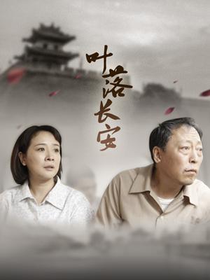 叶落长安电视剧,古城风云，爱恨情仇