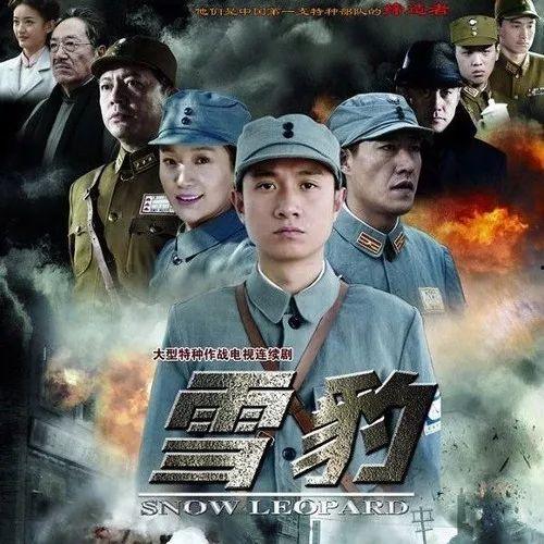 好看的抗日电视剧,抗战英雄传奇