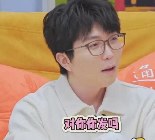 宋轶今日吃瓜视频,揭秘娱乐圈幕后故事