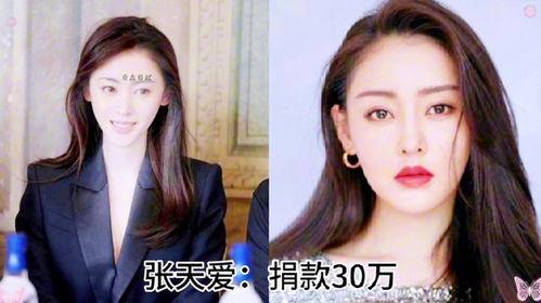 涿州明星网红捐款事件视频