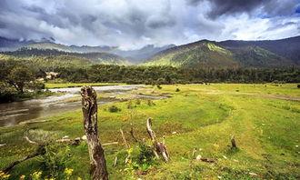 鲁朗明星网红店在哪