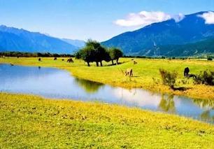 鲁朗明星网红店在哪